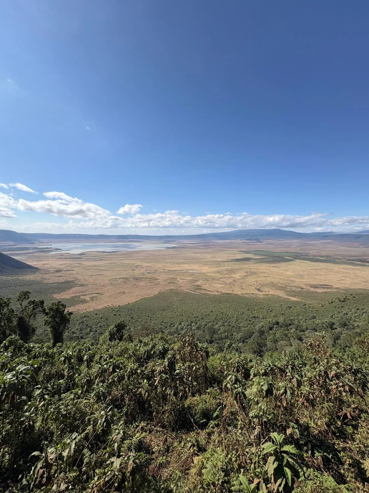 Tanzania - Safari & Zanzibar