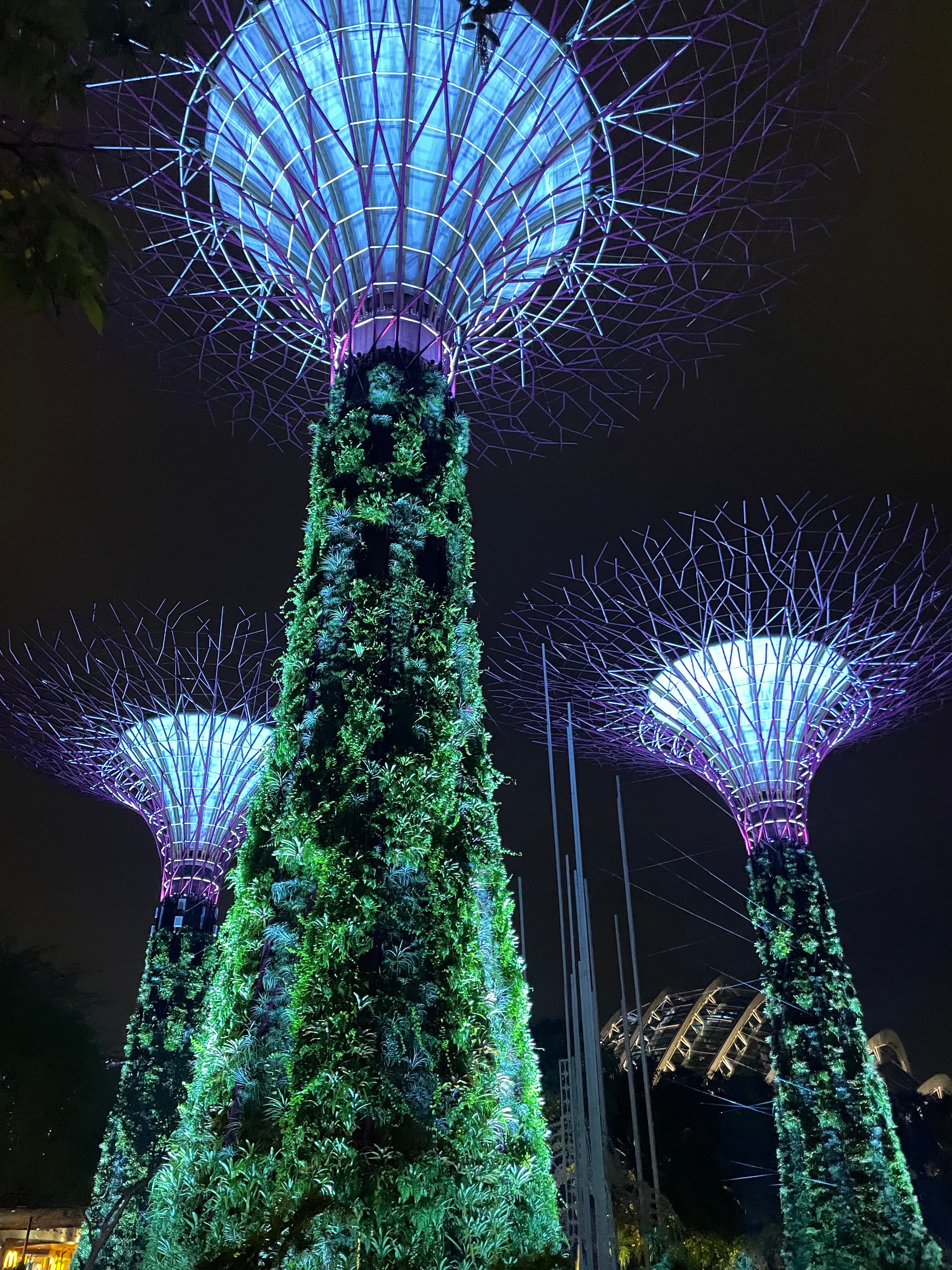 Exploring Singapore