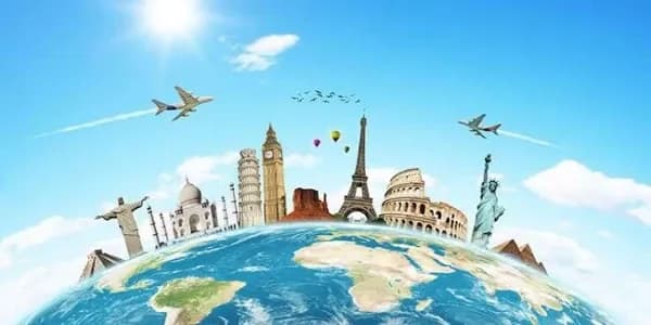 How Do I Add a Pet to an American Flight Ticket?